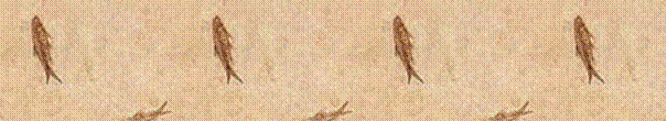 Text Box: 